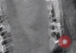 Image of May Day Celebrations Pyongyang North Korea, 1947, second 16 stock footage video 65675028807