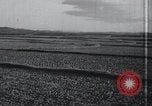 Image of Korean farmers doing farming activities North Korea, 1947, second 31 stock footage video 65675028813