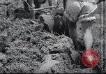 Image of Korean farmers doing farming activities North Korea, 1947, second 38 stock footage video 65675028813