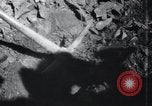 Image of Korean farmers doing farming activities North Korea, 1947, second 47 stock footage video 65675028813