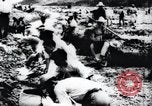 Image of Korean farmers doing farming activities North Korea, 1947, second 49 stock footage video 65675028813
