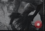 Image of Korean farmers doing farming activities North Korea, 1947, second 57 stock footage video 65675028813