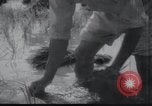 Image of Korean farmers doing farming activities North Korea, 1947, second 58 stock footage video 65675028813