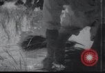 Image of Korean farmers doing farming activities North Korea, 1947, second 59 stock footage video 65675028813