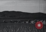 Image of Korean farmers doing farming activities North Korea, 1947, second 62 stock footage video 65675028813