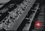 Image of Industrial Workers North Korea, 1947, second 36 stock footage video 65675028814