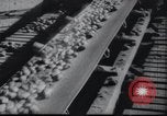 Image of Industrial Workers North Korea, 1947, second 37 stock footage video 65675028814