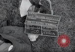 Image of US-Russian soldiers answer field telephones Kaesong Korea 38th Parallel, 1945, second 1 stock footage video 65675028818