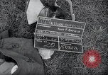 Image of US-Russian soldiers answer field telephones Kaesong Korea 38th Parallel, 1945, second 3 stock footage video 65675028818