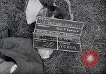 Image of US-Russian soldiers answer field telephones Kaesong Korea 38th Parallel, 1945, second 4 stock footage video 65675028818