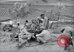 Image of US-Russian soldiers listen guitar Kaesong Korea 38th Parallel, 1945, second 56 stock footage video 65675028819