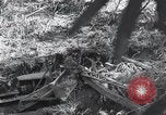 Standbild Bulldozer löscht Straße Birma, 1943, aus Sekunde 12 historischem Filmmaterial Videoclip 65675028820