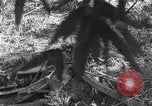 Standbild Bulldozer löscht Straße Birma, 1943, aus Sekunde 13 historischem Filmmaterial Videoclip 65675028820