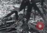 Standbild Bulldozer löscht Straße Birma, 1943, aus Sekunde 14 historischem Filmmaterial Videoclip 65675028820
