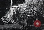 Standbild Straßenbau Birma, 1943, aus Sekunde 1 historischem Filmmaterial Videoclip 65675028821