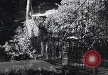 Standbild Straßenbau Birma, 1943, aus Sekunde 10 historischem Filmmaterial Videoclip 65675028821