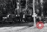 Standbild Straßenbau Birma, 1943, aus Sekunde 49 historischem Filmmaterial Videoclip 65675028821