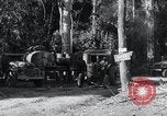 Standbild Straßenbau Birma, 1943, aus Sekunde 52 historischem Filmmaterial Videoclip 65675028821