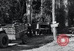 Standbild Straßenbau Birma, 1943, aus Sekunde 57 historischem Filmmaterial Videoclip 65675028821