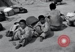 Image of Korean refugees at Tent City Kaesong Korea, 1947, second 54 stock footage video 65675028822