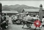 Image Korean Farmers Market Corée, 1947, de la seconde 19 séquences d'archives historiques vidéo 65675028830