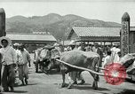 Image Korean Farmers Market Corée, 1947, de la seconde 20 séquences d'archives historiques vidéo 65675028830