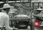 Image Korean Farmers Market Corée, 1947, de la seconde 25 séquences d'archives historiques vidéo 65675028830