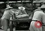 Image Korean Farmers Market Corée, 1947, de la seconde 27 séquences d'archives historiques vidéo 65675028830