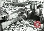 Image Korean Farmers Market Corée, 1947, de la seconde 44 séquences d'archives historiques vidéo 65675028830