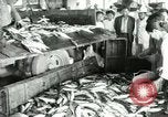 Image Korean Farmers Market Corée, 1947, de la seconde 47 séquences d'archives historiques vidéo 65675028830