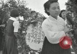 Image of Independene Day celebrations at Tower of Liberation Pyongyang North Korea, 1948, second 6 stock footage video 65675028836
