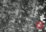 Image of Independene Day celebrations at Tower of Liberation Pyongyang North Korea, 1948, second 31 stock footage video 65675028836