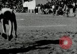 Immagine di Festival dello sport a Pyongyang Stadium Pyongyang Corea del Nord, 1948, secondo 26 filmato di repertorio 65675028837