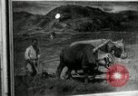 Immagine di Il coreano mostra d'arte La Corea del Nord, 1948, secondo 50 filmato di repertorio 65675028838