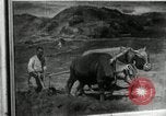 Immagine di Il coreano mostra d'arte La Corea del Nord, 1948, secondo 51 filmato di repertorio 65675028838