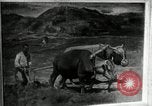 Immagine di Il coreano mostra d'arte La Corea del Nord, 1948, secondo 52 filmato di repertorio 65675028838