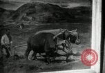 Immagine di Il coreano mostra d'arte La Corea del Nord, 1948, secondo 53 filmato di repertorio 65675028838
