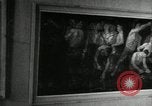 Immagine di Il coreano mostra d'arte La Corea del Nord, 1948, secondo 58 filmato di repertorio 65675028838