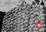 Immagine di Concerto musicale Pyongyang Corea del Nord, 1948, secondo 42 filmato di repertorio 65675028839