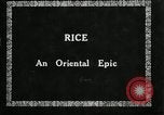 Image of Korean rice farmer Kim and family Korea, 1936, second 29 stock footage video 65675028840