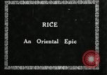 Image of Korean rice farmer Kim and family Korea, 1936, second 30 stock footage video 65675028840