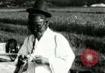 Image of Korean rice farmer Kim and family Korea, 1936, second 61 stock footage video 65675028840