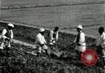 Image of Korean farmers using shovel Korea, 1936, second 16 stock footage video 65675028841
