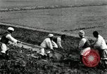 Image of Korean farmers using shovel Korea, 1936, second 17 stock footage video 65675028841