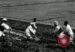 Image of Korean farmers using shovel Korea, 1936, second 28 stock footage video 65675028841