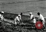 Image of Korean farmers using shovel Korea, 1936, second 31 stock footage video 65675028841