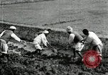 Image of Korean farmers using shovel Korea, 1936, second 36 stock footage video 65675028841