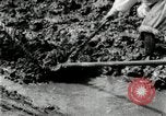 Image of Korean farmers using shovel Korea, 1936, second 41 stock footage video 65675028841