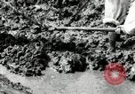 Image of Korean farmers using shovel Korea, 1936, second 43 stock footage video 65675028841