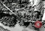 Image of Korean farmers using shovel Korea, 1936, second 44 stock footage video 65675028841